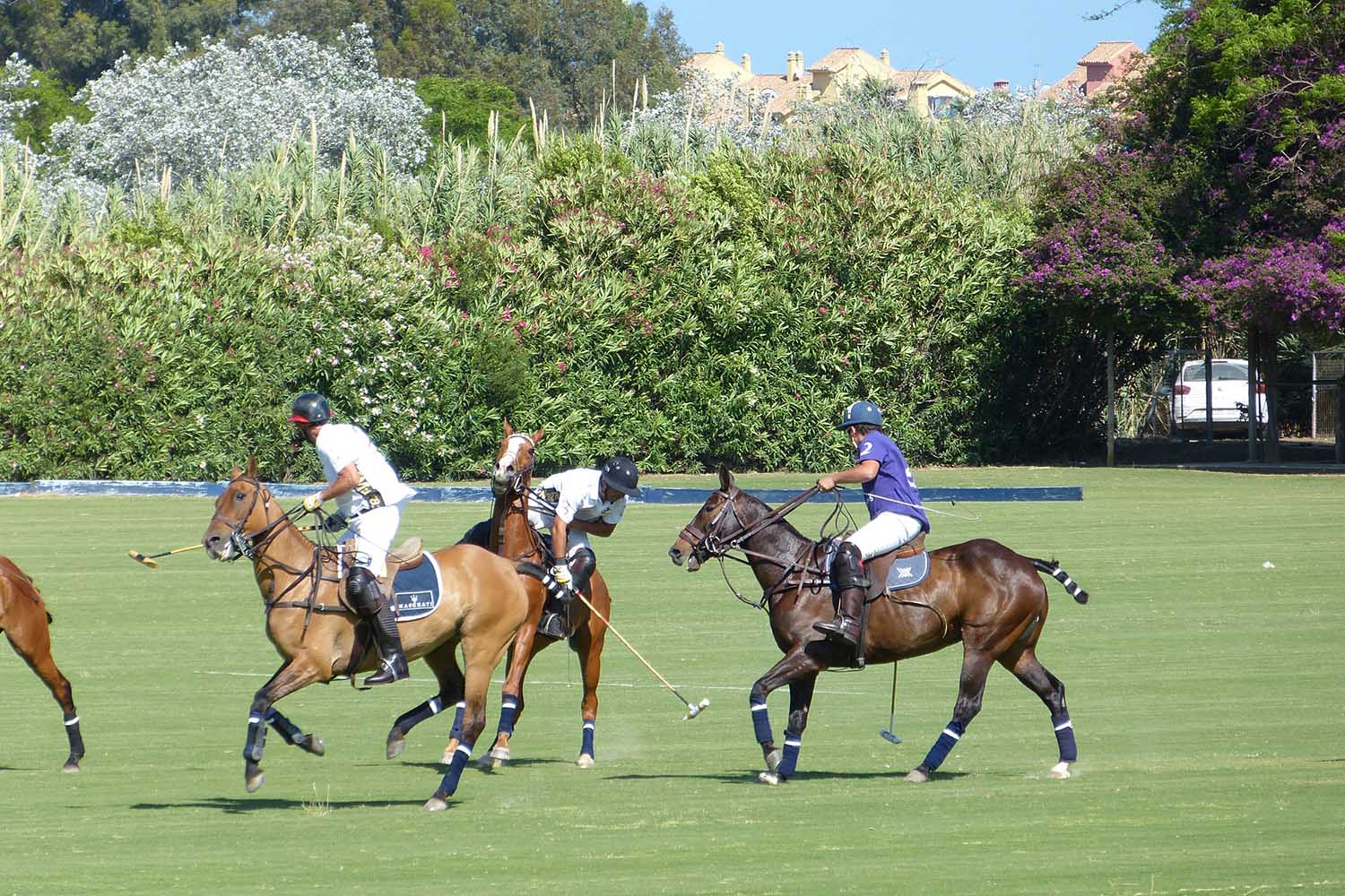 Fall And Winter In Sotogrande A Place To Enjoy Year Round Noll Partners Sotogrande Real Estate