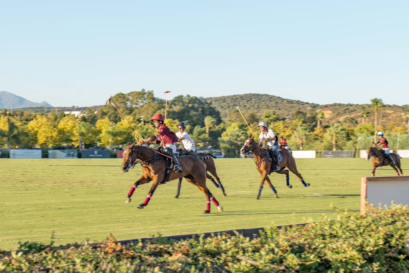 Polo Tournament 2025