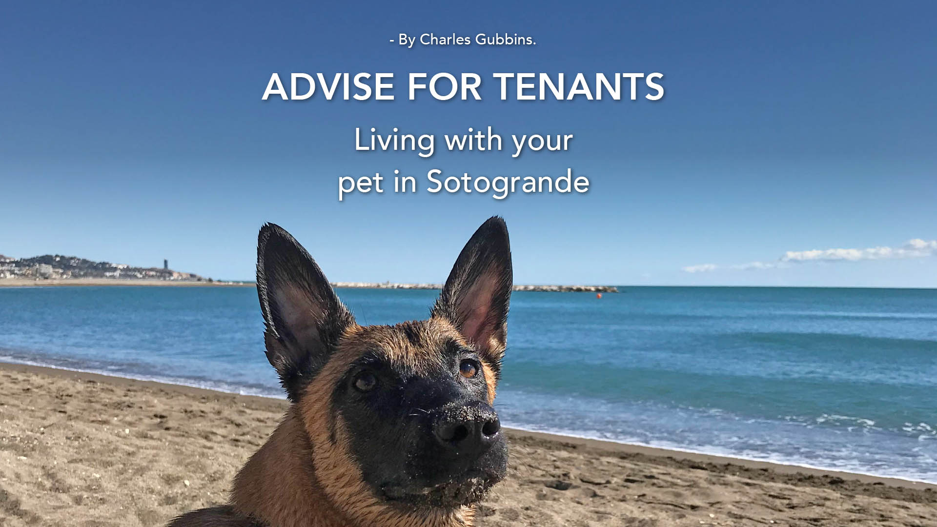 Living with your pet in Sotogrande 1