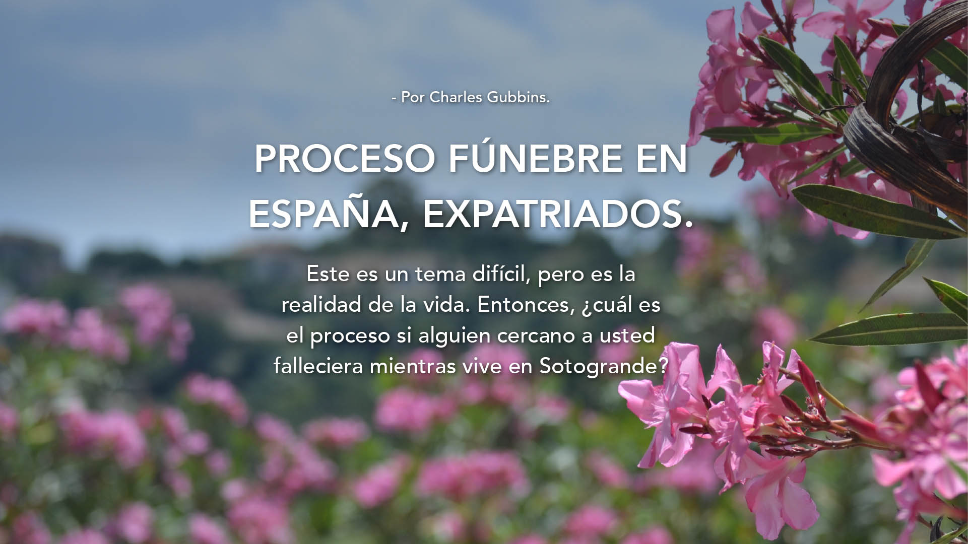 Proceso fúnebre en España para expatriados 1