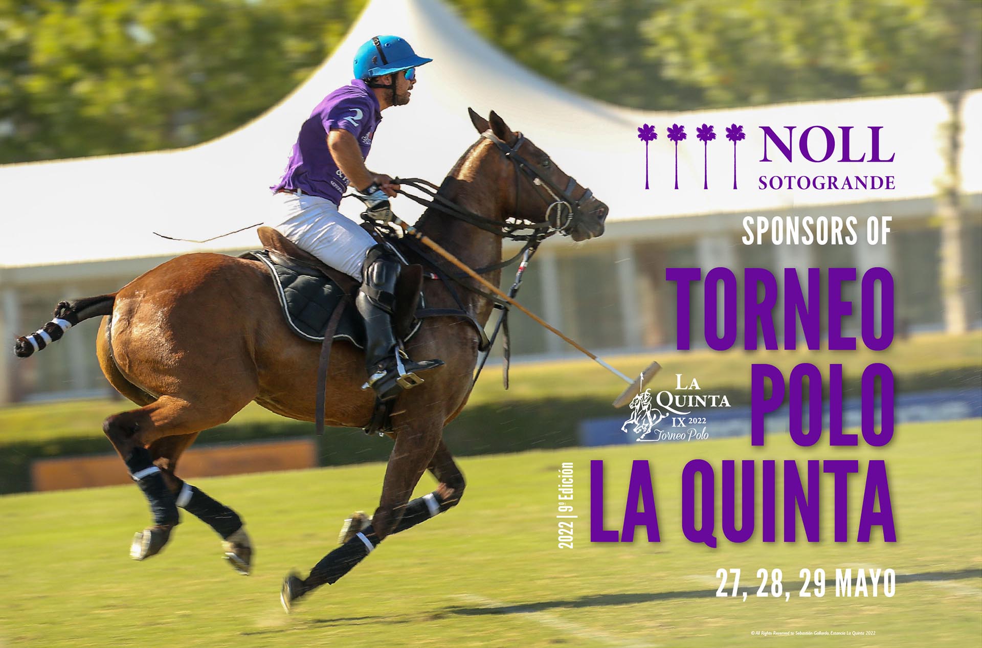 Noll Sotogrande Sponsors Torneo Polo La Quinta 2022