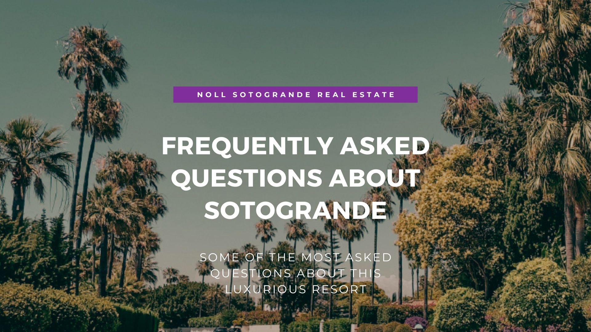 01 - Frequent Questions about Sotogrande - Marbella Spain 1