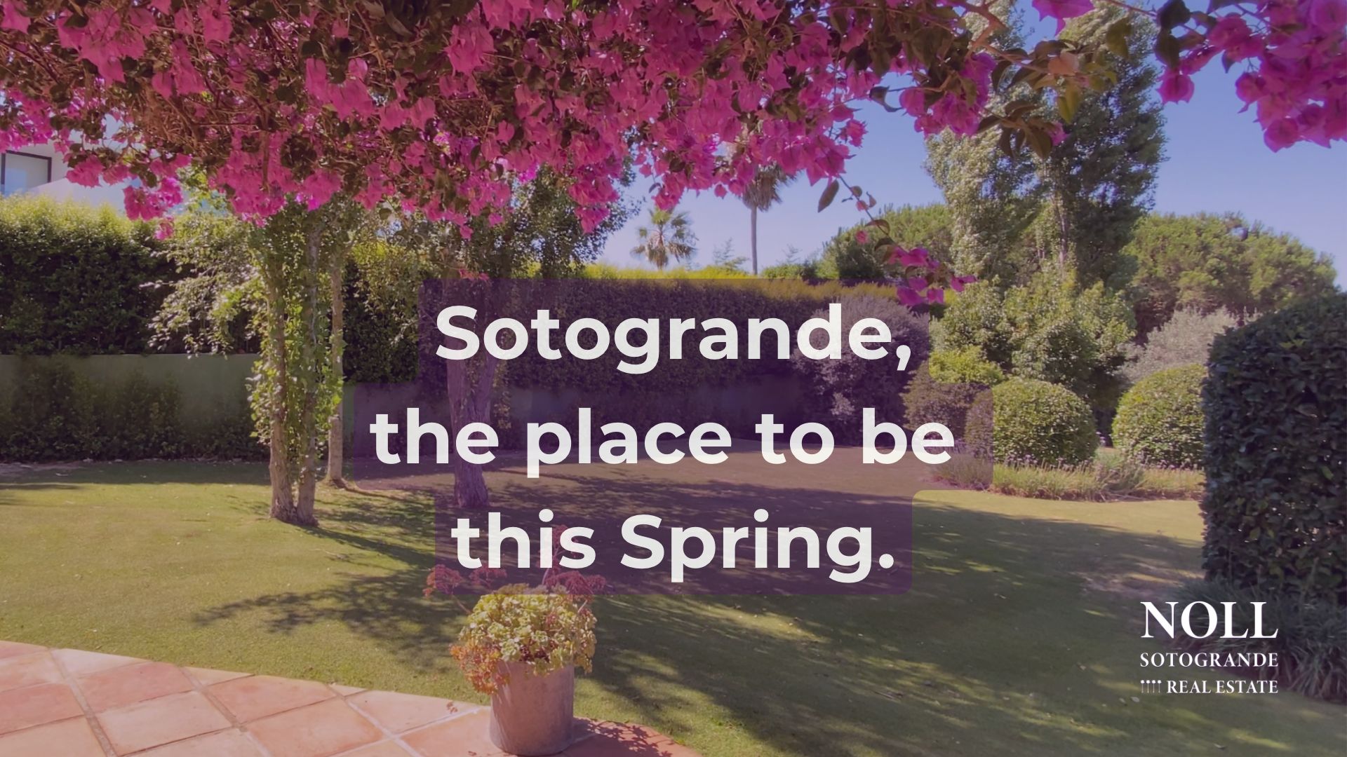 Spring in Sotogrande 2023
